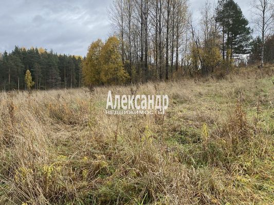 Продам участок 50 соток, ЛПХ, Шушино п, 90 км от города