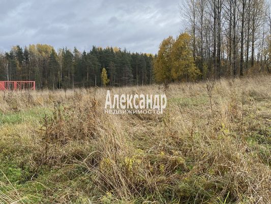 Продам участок 50 соток, ЛПХ, Шушино п, 90 км от города