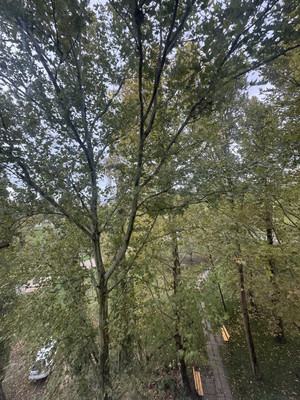 Продам двухкомнатную (2-комн.) квартиру, Севастопольская ул, 5, Новофедоровка пгт