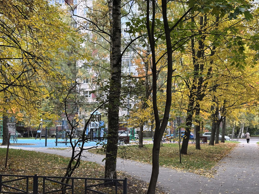 Сдам однокомнатную (1-комн.) квартиру, Наличная ул, 40к4, Санкт-Петербург г