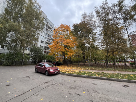 Сдам однокомнатную (1-комн.) квартиру, Наличная ул, 40к4, Санкт-Петербург г