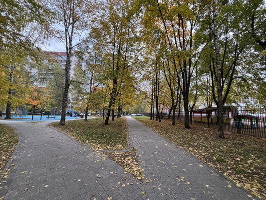 Сдам однокомнатную (1-комн.) квартиру, Наличная ул, 40к4, Санкт-Петербург г