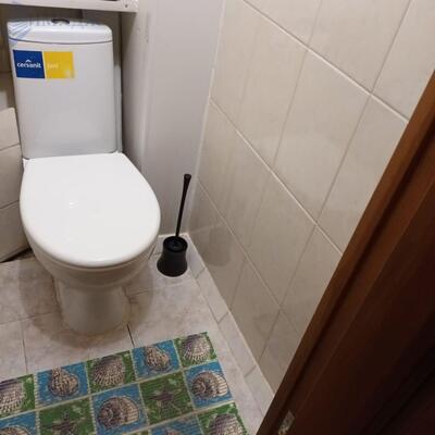 Сдам двухкомнатную (2-комн.) квартиру, Копылова ул, 66, Красноярск г