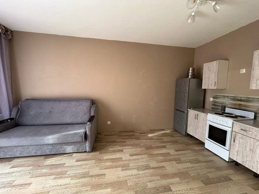 Продам однокомнатную (1-комн.) квартиру, Авиаконструкторов пр-кт, 54, Санкт-Петербург г