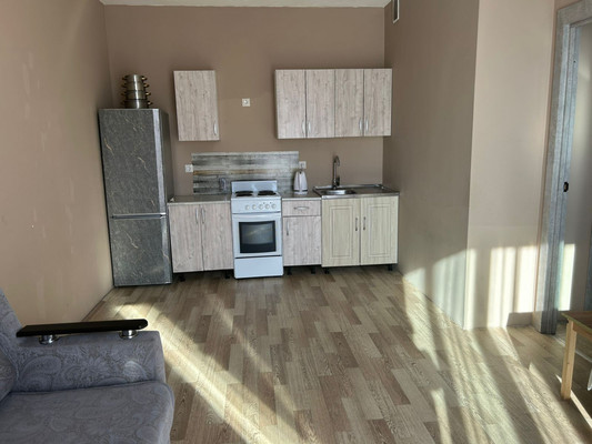 Продам однокомнатную (1-комн.) квартиру, Авиаконструкторов пр-кт, 54, Санкт-Петербург г