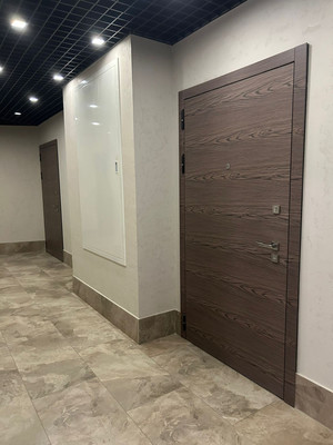 Продам однокомнатную (1-комн.) квартиру, Авиаконструкторов пр-кт, 54, Санкт-Петербург г