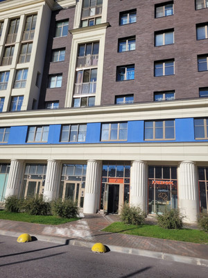 Продам однокомнатную (1-комн.) квартиру, Авиаконструкторов пр-кт, 54, Санкт-Петербург г