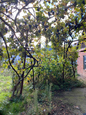 Сдам дом, Черноморская ул, 44, Армавир г, 0 км от города