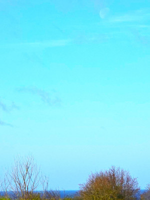 Сдам таунхаус, Донское-Прибрежное тер. СНТ, Донское пгт, 0 км от города