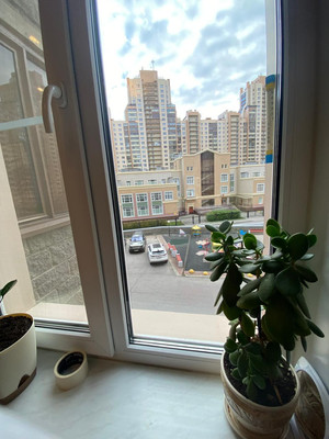 Продам однокомнатную (1-комн.) квартиру, Яхтенная ул, 3к2, Санкт-Петербург г