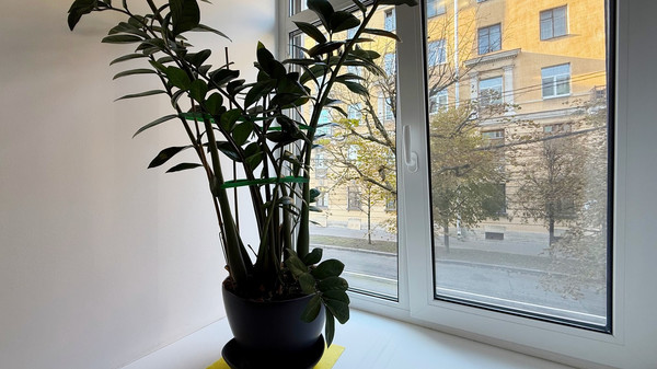 Продам двухкомнатную (2-комн.) квартиру, 5-я Советская ул, 28, Санкт-Петербург г