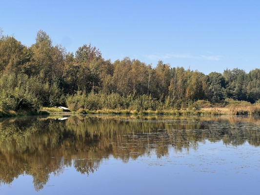 Продам участок 18 соток, ИЖС, Васкелово-4 тер, 0 км от города