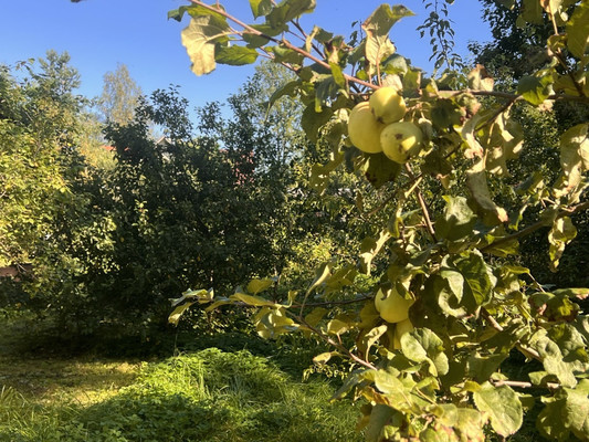 Продам участок 18 соток, ИЖС, Васкелово-4 тер, 0 км от города