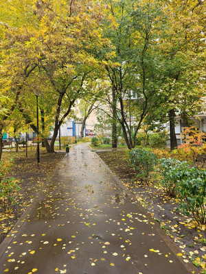 Продам однокомнатную (1-комн.) квартиру, Староконюшенный пер, 37, Москва г