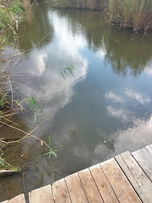 Продам дом, Кольцевая ул, 42А, Имерницин х, 0 км от города