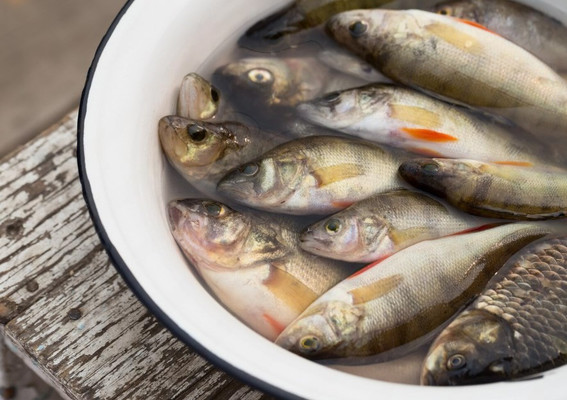 Продам дом, Кольцевая ул, 42А, Имерницин х, 0 км от города