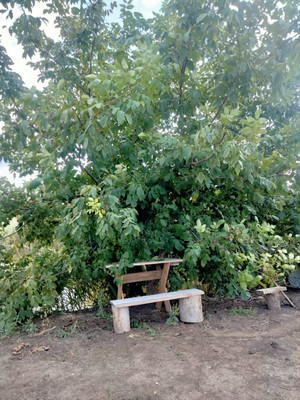 Продам дом, Кольцевая ул, 42А, Имерницин х, 0 км от города