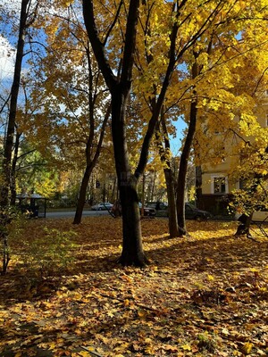 Продам двухкомнатную (2-комн.) квартиру, 6-я Парковая ул, 27, Москва г