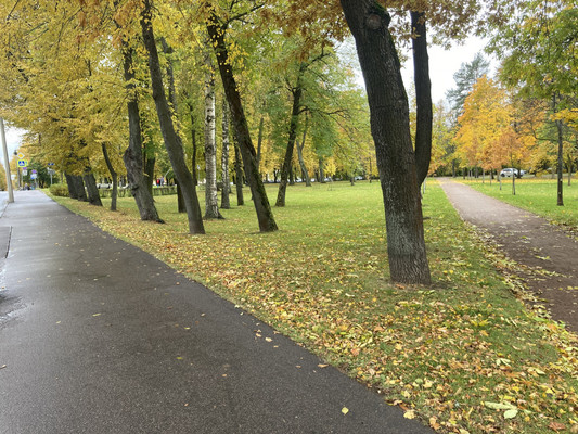 Продам участок 12,08 соток, ИЖС, Ольгинское ш, 58к4а, Петергоф г, 0 км от города