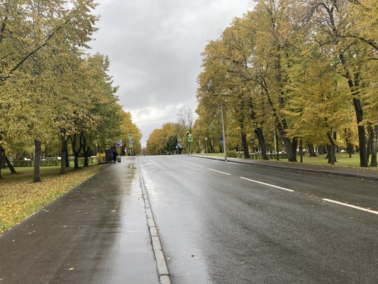 Продам участок 12,08 соток, ИЖС, Ольгинское ш, 58к4а, Петергоф г, 0 км от города