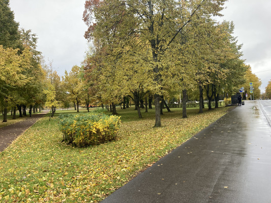 Продам участок 12,08 соток, ИЖС, Ольгинское ш, 58к4а, Петергоф г, 0 км от города