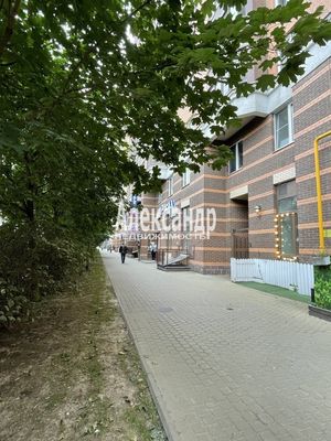 Сдам торговое помещение 145,9 м2, Строителей пр-кт, 6, Кудрово г