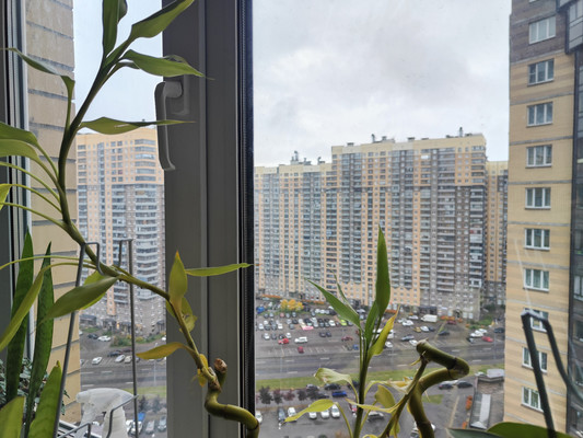 Продам трехкомнатную (3-комн.) квартиру, Фёдора Абрамова ул, 21к1, Парголово п