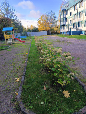 Продам однокомнатную (1-комн.) квартиру, Шоссе в Лаврики ул, 33, Мурино п