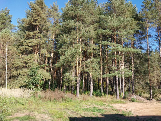 Продам таунхаус, Лесное д, 0 км от города