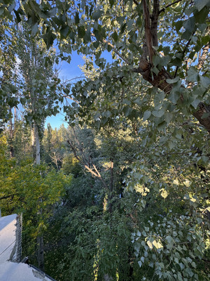 Сдам коммерческое помещение 560 м2, Ломоносова ул, 14, Махачкала г