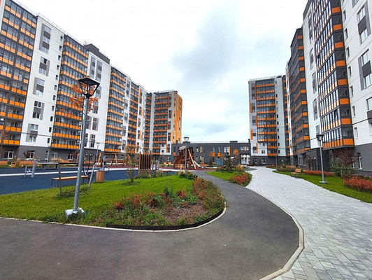 Продам однокомнатную (1-комн.) квартиру, Петропавловская ул, 13, Новоселье гп