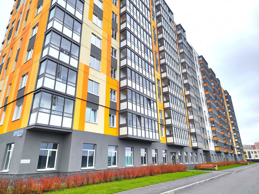 Продам однокомнатную (1-комн.) квартиру, Петропавловская ул, 13, Новоселье гп