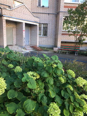 Продам трехкомнатную (3-комн.) квартиру, Большая Московская ул, 59, Великий Новгород г