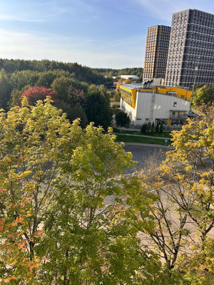 Продам комнату в 2-комн. квартире, Красного Маяка ул, 19к1, Москва г