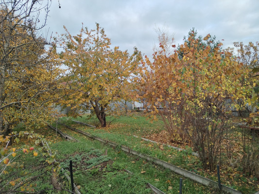 Продам дом, Маевка ул, 107, Цибино д, 0 км от города