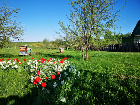 Продам дачу, Ситьково д, 0 км от города