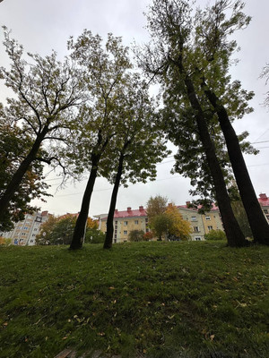 Продам однокомнатную (1-комн.) квартиру, Имени Ю. Гагарина парк, 16кБ, Калининград г
