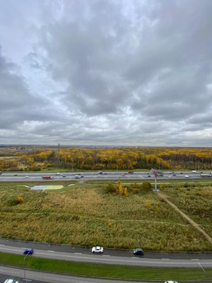 Продам однокомнатную (1-комн.) квартиру, Строителей пр-кт, 16, Кудрово г