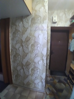 Продам двухкомнатную (2-комн.) квартиру, Терновского ул, 19, Пенза г
