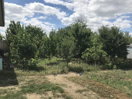 Продам дом, Речная ул, 14, Луч тер. ДНТ, 0 км от города