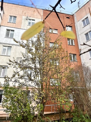 Продам однокомнатную (1-комн.) квартиру, Мстихинская ул, 6, Мстихино д