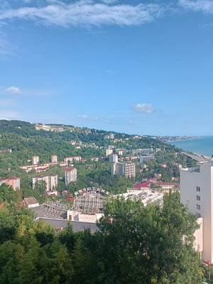 Продам однокомнатную (1-комн.) квартиру, Туренко (Хостинский р-н) ул, 32, Сочи г