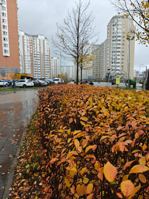 Продам однокомнатную (1-комн.) квартиру, Бориса Пастернака ул, 25, Внуковское п