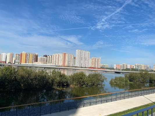 Продам однокомнатную (1-комн.) квартиру, Камова (Зенино ЖК Самолёт мкр.) ул, 5к2, Люберцы г