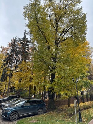 Продам многокомнатную квартиру, Староволынская ул, 12к4, Москва г