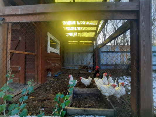 Продам дом, Счастливый (Западный мкр.) пер, 38, Мамоны с, 0 км от города
