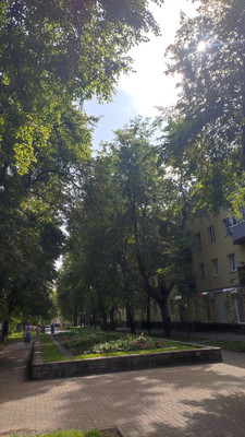 Продам однокомнатную (1-комн.) квартиру, Карла Маркса ул, 66, Воронеж г