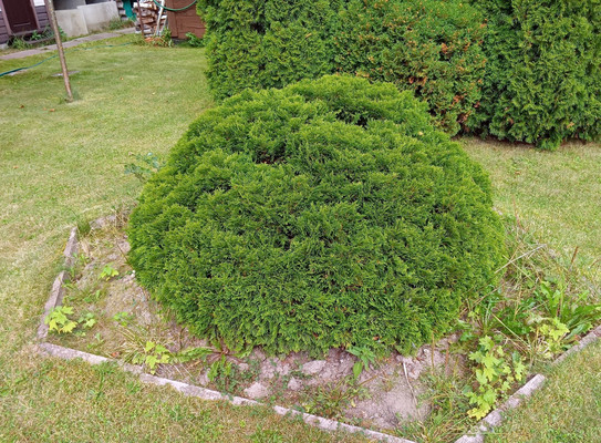 Продам дачу, Чехов-3 г, 0 км от города