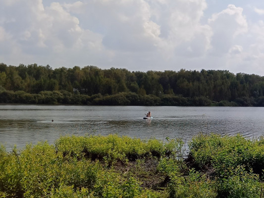 Продам дачу, Чехов-3 г, 0 км от города