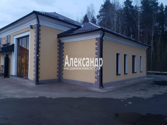 Продам торговое помещение 175,4 м2, Комсомольская ул, 20, Красава п